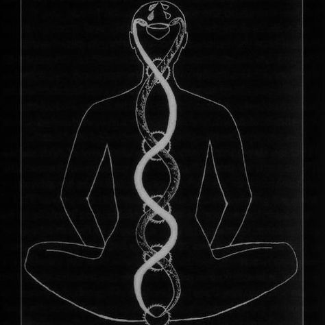 All Posts • Instagram Consciousness Tattoo, Kundalini Tattoo, Caduceus Tattoo, Cobra Tattoo, Tattoo Diy, Serpent Tattoo, Cosmic Consciousness, Consciousness Art, Spiritual Tattoos