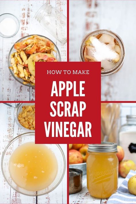 Apple Cider Vinegar Homemade, Apple Cider Vinegar Diy, Apple Scraps, Homemade Apple Cider Vinegar, Make Apple Cider, Diy Apple Cider, Apple Cider Vinegar Uses, Make Apple Cider Vinegar, Apple Cider Vinegar Recipes