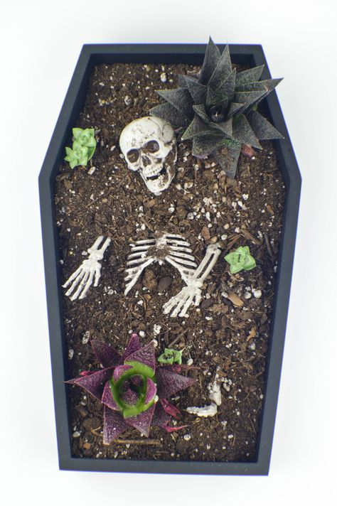 Halloween DIY Coffin Table Planter - Revamperate Coffin Table, Diy Coffin, Halloween Garden Decorations, Casa Halloween, Halloween Cans, Skirt Inspiration, Diy Halloween Decor, Adornos Halloween, Halloween Garden