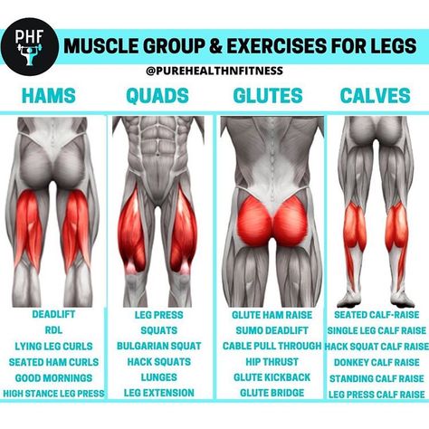 Build your own leg day! #legworkout #legday Leg Day Muscle Groups, Different Leg Workouts, Different Leg Muscles, Legs Muscles Workout, Back Of Leg Workout At Home, Back Legs Workout, Intense Leg Workout Gym, Build Leg Muscle At Home, Back Of Leg Workout