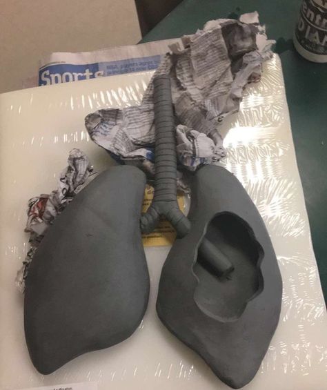 Big Clay Projects Ideas, Big Clay Sculpture, Lungs Sculpture, Lung Sculpture, Big Ceramics Projects, Big Clay Projects, Clay Artwork, Sculpture Art Clay, Air Dry Clay Projects