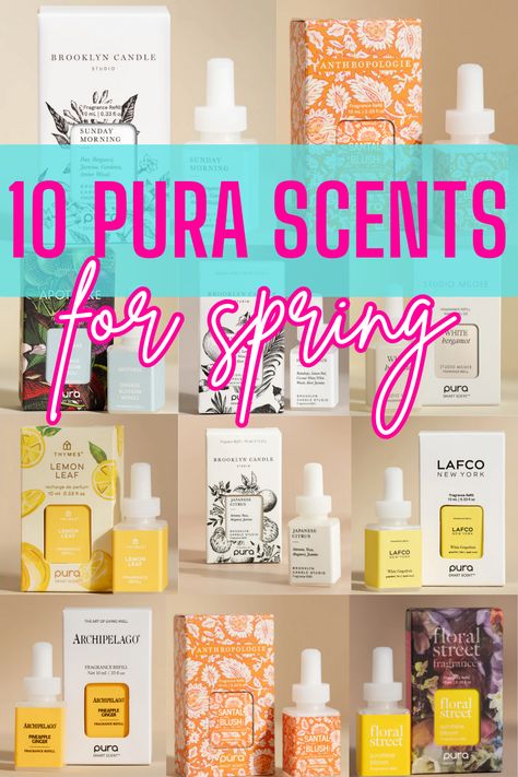 10 Best Pura Spring Scents To Try Pura Diffuser, Diffuser Scents, Scent Combos, Anthropologie Candle, Fragrant Garden, Lemon Leaves, Spring Scents, Citrus Fragrance, Lemon Verbena