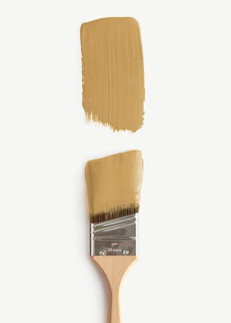 Clare’s New Hue Is a Dose of Serotonin in a (Paint) Can | Architectural Digest Clare Paint Good As Gold, Clare Paint Colors, Mustard Yellow Paint Colors, Golden Yellow Paint, Mustard Yellow Paint, Space Moodboard, Painting Trends, Yellow Paint Color, Clare Paint