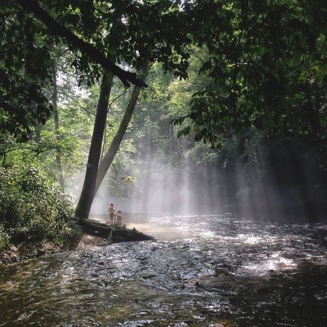 Forest Waterfall, Pisgah National Forest, Best Campgrounds, Scenic Road Trip, Scenic Roads, Shenandoah National Park, Forest Road, Scenic Byway, Smoky Mountain National Park