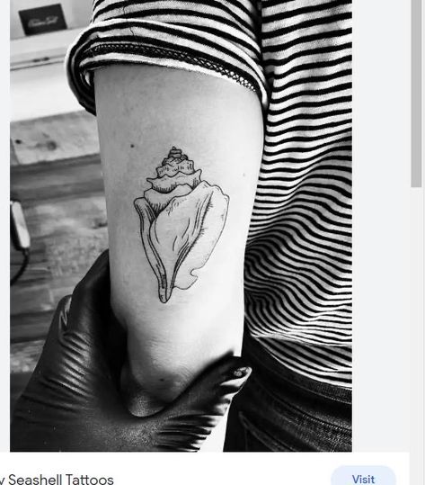 Queen Conch Shell Tattoo, Conch Tattoo Shell, Conch Tattoo, Conch Shell Tattoo, Shell Tattoo, Matching Tats, Shell Tattoos, Scar Tattoo, Tattoo Aesthetic