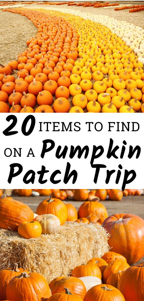 Pumpkin Patch Ideas Diy, Pumpkin Patch Food, Autumnal Activities, Pumpkin Patch Ideas, Pumpkin Patch Decoration, Pumpkin Patch Activities, Charlie Brown Birthday Party, Pumpkin Patch Kids, Pumpkin Patch Birthday