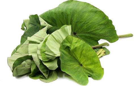 Squid Luau, Hawaii Foods, Taro Leaves, Lau Lau, Plant Vegetables, Hawaiian Recipes, Hawaiian Leaf, Resep Brownies, Organic Fruits And Vegetables