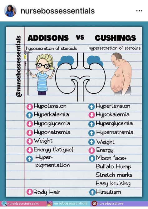 Nursing School Studying Cheat Sheets, Nursing Labs, Nursing School Essential, Nursing School Motivation, Basic Anatomy And Physiology, Nurse Study Notes, Nursing Student Tips, Nursing Care Plan, Medical Student Study