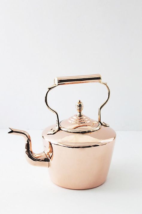 Whistling tea kettle