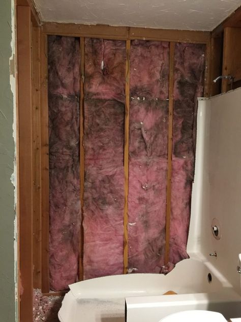 Turn Bathtub Into Shower Stall, Removing Shower Insert, Replacing Shower Insert With Tile, Remove Bathtub Remodel, Removing Bathtub, Walk In Shower Renovation, Replacing Bathtub With Shower Walk In, Diy Bathtub To Shower Conversion, Walk In Shower With Tub Inside No Door