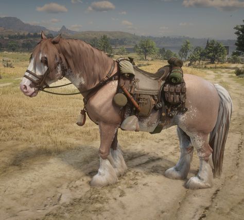 Rdr2 Horse Breeds, Rdr2 Online Horses, Rdr Horses, Mexican Horse, Rdr2 Horses, Hilarious Animal Memes, Rdr2 Online, Red Dead Redemption 3, Horse Back Riding