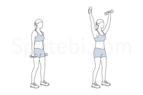 The standing dumbbell Y raise targets your shoulders and chest and helps to strengthen and tone your upper body. This exercise helps to improve posture, sculpts the shoulders and lifts the breasts. http://www.spotebi.com/exercise-guide/standing-y-raise/ Spotebi Workout, Jumping Jacks Workout, Hip Flexor Exercises, Side Crunches, Push Workout, Back Fat Workout, Cardio Workout At Home, Arm Circles, Calories Burned