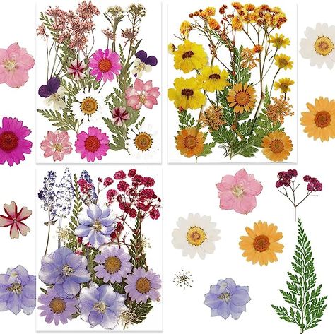 Amazon.com: 3Pack Dried Pressed Flowers for Resin Mold, Natural Daisy Sunflower Flower Leaves Herbs for DIY Epoxy Resin Candle Soap Scrapbooking Jewelry Crafts Making Pressed Sunflower, Sunflower Candle, Resin Candle, Dried Pressed Flowers, Dried And Pressed Flowers, Flower Leaves, Diy Epoxy, Resin Flowers, Resin Molds