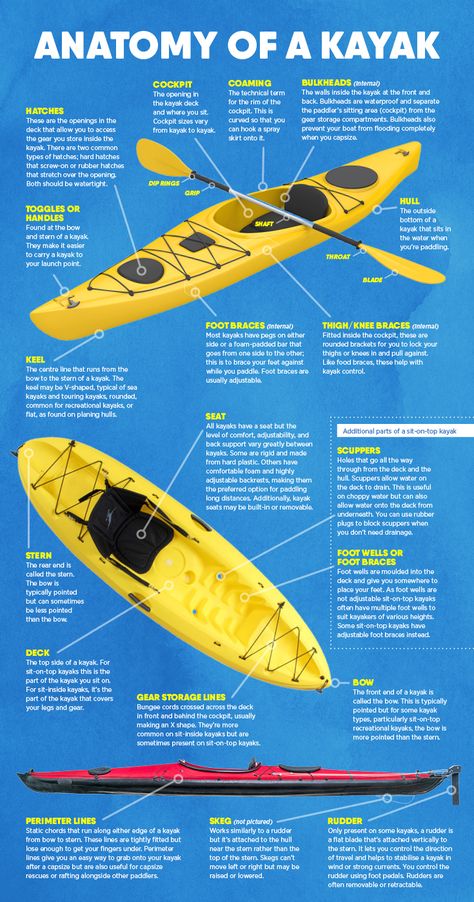 Kayak Tips, How To Kayak, Kayaking Essentials, Must Have Kayak Accessories, Diy Kayak Launch, Kayak For Beginners, Best Fishing Kayak, Kayak Fishing Tips, Angler Kayak