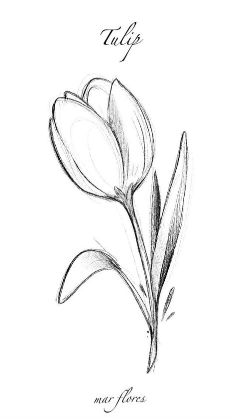 Cool Art Drawings Flowers, Art Ink Drawing, One Flower Drawing, Sketch Design Ideas, Flowers In Vase Drawing Simple, Flower Aesthetic Drawing Simple, Doodle Drawings Flowers, Flower For Drawing, Drawings Ideas Flowers