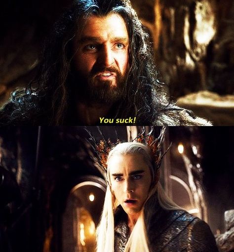 LOLOLOL Thranduil Funny, Hobbit Funny, Elf Funny, Lotr Funny, The Hobbit Movies, Elf Movie, Thorin Oakenshield, The Shire, Thranduil