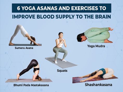 https://www.ayushakti.com/fitness-and-exercise/type/6-yoga-asanas-and-exercises-to-improve-blood-supply-to-the-brain Yoga For Circulation, Yoga For Brain Health, Blood Circulation Exercises, Super Brain Yoga, Brain Workout, Brain Yoga, Sivananda Yoga, Increase Blood Flow, Yoga Facts