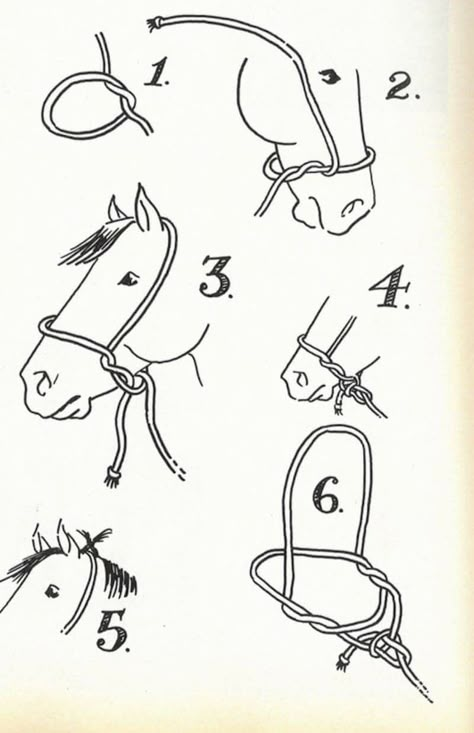 Hobby Horse Accessories, How To Make A Hobby Horse, Hobby Horse Mane Diy, Hobby Horse Competitions, How To Make A Hobby Horse Bridle, Western Horseman, Horse Halter, Horse Halters, Team Roping