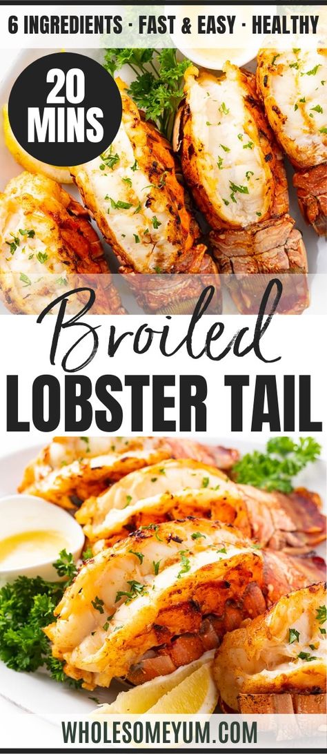 The Best Broiled Lobster Tail Recipe Prepare Lobster Tail, How To Season Lobster Tail, Roasted Lobster Tail Recipe, Best Way To Cook A Lobster Tail, How Do I Cook Lobster Tails, Butterfly Lobster Tail, Cooking Lobster Tails From Frozen, Best Way To Cook Frozen Lobster Tails, Lobster Tail Broiled