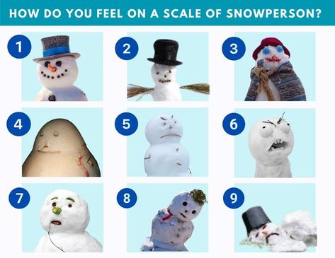 Mood Scale Funny, Sel Check In Pictures, Which Are You Today, Emotion Scale, Mood Scale, Attendance Questions, Classroom Memes, Class Memes, Get To Know You Activities