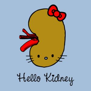 The Kidney supports the reproductive organs.  When the Kidney Qi is abundant, sexual and reproductive life is vigorous.  Learn the Kidney Healing Sounds here. Medische Humor, Renal Physiology, The Awkward Yeti, Donate Life, Organ Donation, Chi Kung, Medical Studies, Science Jokes, Medical Humor