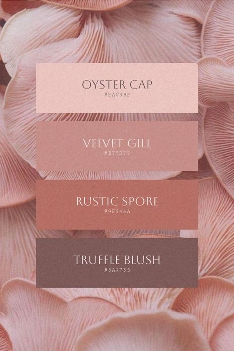 Brunette Hair Color Palette, Mauve And Brown Color Palette, Earthy Pink Palette, Fall Wedding With Pink Color Palettes, Pink Color Palette For Wedding, Color Palette Feminine Neutral, Mauve Beige Color Palette, Feminine Colors Palette, Rose Gold Color Palette Wedding