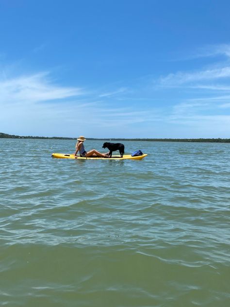 Seaside Florida, Florida Lifestyle, Aesthetic Lifestyle, Anna Maria Island, Black Lab, 2024 Vision, Paddle Boarding, Vision Board, Lab