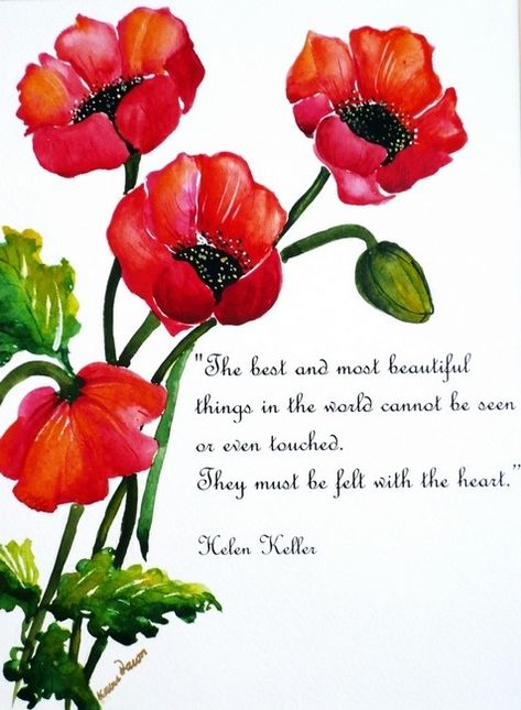 Poppy Poem, Poppies Poem, Remembrance Day Poems, Remembrance Day Pictures, Remembrance Day Quotes, Remembrance Day Art, Poppy Craft, Remembrance Day Poppy, Remembrance Poppy