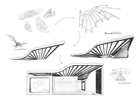 Eagle Architecture Concept, Dragonfly Inspired Architecture, Bird Architecture Concept, Bird Inspired Architecture, Tree Concept Architecture, Bat Architecture, Plan Concept Architecture, Design Concept Architecture, Sketchbook Architecture