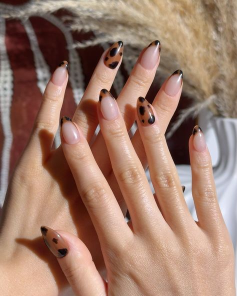 🍂🤎🐢Wild Tortoise - Inspired by the timeless tortoiseshell pattern, these nails feature elegant brown and black tips on a nude base, blending sophistication with a wild touch. Perfect for a chic and bold look. #nomoodnails#tortoiseshellnails #ambernails #almondnails #pressons #pressonnails #fallnails #autumnnails Tortoise Nails Design, Tortoise Nails, Black Tips, Brown Nails, Nails Design, Almond Nails, Tortoise Shell, Green And Brown, Press On Nails