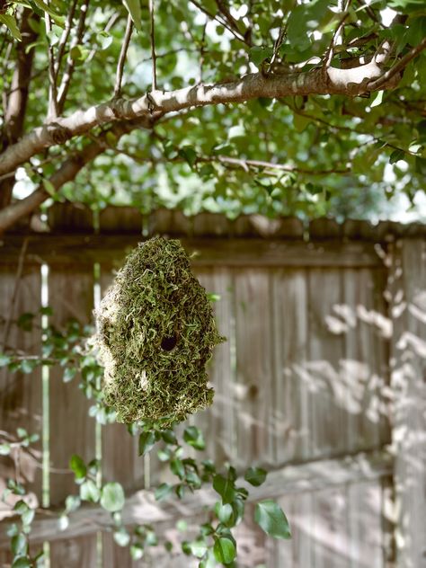 DIY Moss Covered Bird House – Nickels Creek Mercantile Moss Birdhouse, Diy Moss, Simple Diys, Types Of Moss, Moss Covered, Bird Houses Diy, Wood Bird, Peat Moss, Spray Adhesive