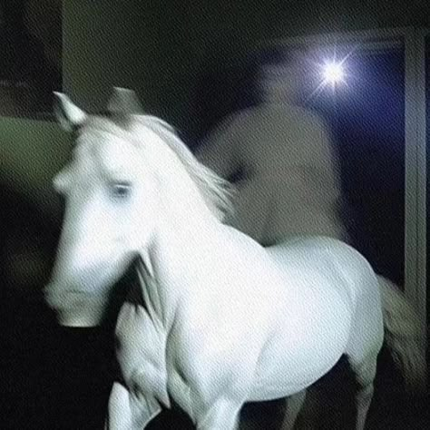 Deftones Fans on Instagram: "🐎 📸 pony pic shot by @olgamikhfedorova Credit:@sophthecreator . . . . . . #radiohead radioheadmemes #radioheadfans #deftones #deftonesmemes #talkingheads #thomyorke #katebush #katebushmemes #frankocean #frankoceanmemes #tylerthecreator #hiphopmemes #numetalmemes #musicmemes #musicmemesdaily #memes #memesdaily" Poison Tree, Around The Fur, Dissociation, Weird Dreams, Talking Heads, Introverted, Ethereal Art, White Horse, Pose Reference