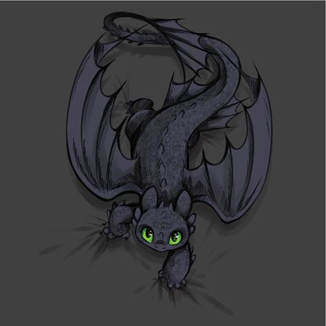 toothless how to train your dragon - Google Search How To Train Your Dragon Tattoo, Toothless Dragon Tattoo, Toothless Tattoo, Toothless Wallpaper, Toothless Drawing, Cute Toothless, Toothless And Stitch, Toothless Dragon, Dragon Tattoos