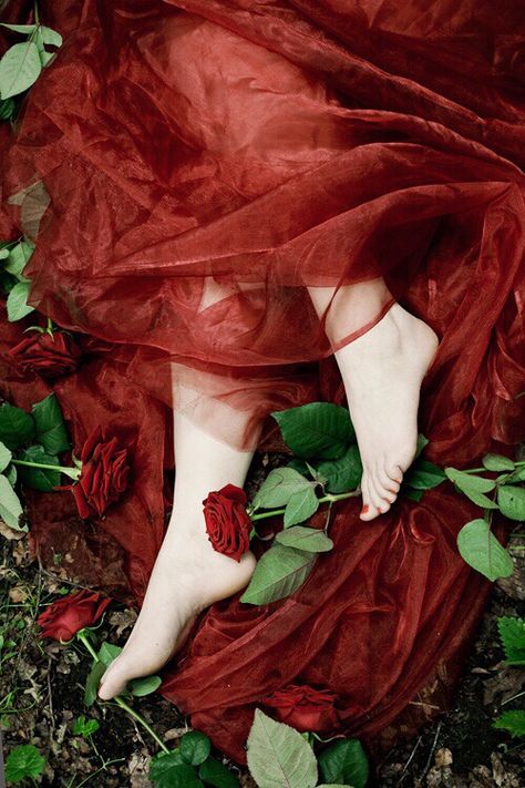 Woman In Red, Robert Frank, Fantasy Photography, Little Red Riding Hood, On The Ground, The Grass, Red Riding Hood, Middle Ages, Shades Of Red