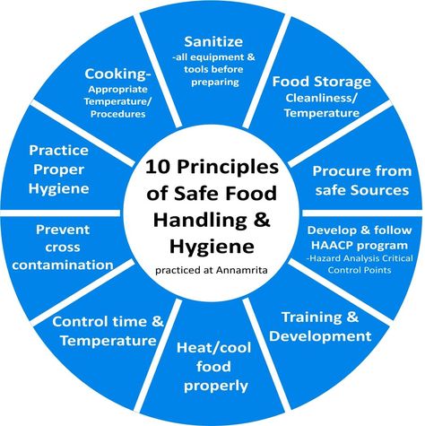 Food Safety Posters, Food Safety And Sanitation, Food Safety Training, Culinary Lessons, Food Safety Tips, Food Hygiene, Kitchen Safety, Food Handling, Family And Consumer Science