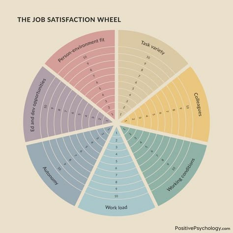 PositivePsychology.com on Instagram: "The Job Satisfaction Wheel can help you assess your current satisfaction with your job and identify areas for improvement. Job satisfaction is a measure of subjective well-being at work (Judge & Klinger, 2008). According to Roelen et al. (2008), there are seven key indicators of job satisfaction: - Task variety - Colleagues - Working conditions - Workload - Autonomy - Education and development opportunities - Person-environment fit Here's how you can use t Good Work Environment, Work Satisfaction, Wellness Wheel, Life Areas, Job Inspiration, Clinical Social Work, Job Satisfaction, Work Skills, Career Counseling