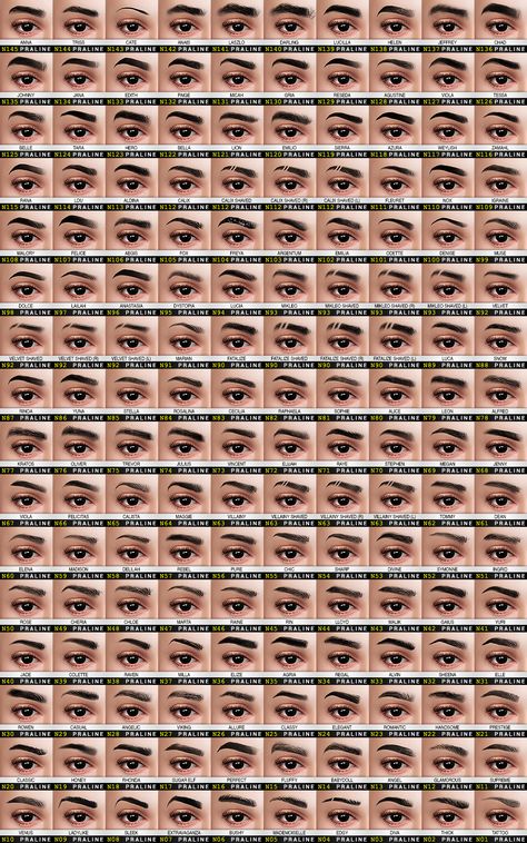 EYEBROW Ultimate Collection | Pralinesims on Patreon Praline Eyebrows Sims 4, Praline Sims Eyebrows, Sims 4 Cc Eyecolor Maxis Match, Sims Cc Genetics, Praline Sims 4 Cc Ultimate Collection, Sims 4 Alpha Cc Lashes, Sims 4 Makeup Collection, Sims4 Cc Makeup Eyebrows, Praline Sims 4 Cc