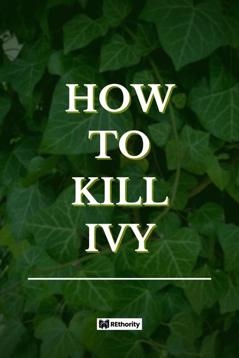 If you’ve ever been frustrated by stubborn ivy that has overrun your property, this step-by-step guide is for you! Learn how to get rid of that pesky ivy once and for all with this comprehensive guide. From understanding the growth habits of ivy to choosing the right tools for removal, you’ll soon be rid of this unwanted weed. Keep reading to find out how you can begin to free your property of ivy today! Get Rid Of Ivy In Yard, How To Get Rid Of Ivy Ground Cover, Kill Grass, Pesticide Sprayer, Poison Ivy Plants, Boston Ivy, Ivy Plant, Ivy Vine, English Ivy