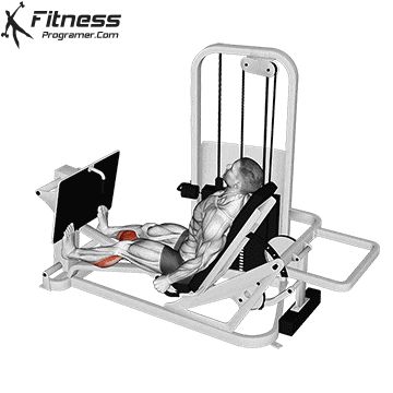 Calf Raises On Leg Press, Bigger Calves, Calf Training, Calf Press, Gastrocnemius Muscle, Calves Exercises, Workout Gym Routine, Calf Machine, Muscle Hypertrophy