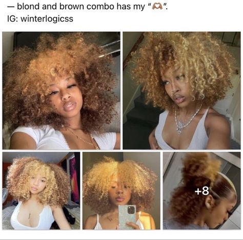 Blonde Honey, Dyed Curly Hair, Hair 360, Cute Hair Colors, Curly Hair Videos, Quick Natural Hair Styles, Cute Curly Hairstyles, Dyed Hair Inspiration, Dyed Natural Hair