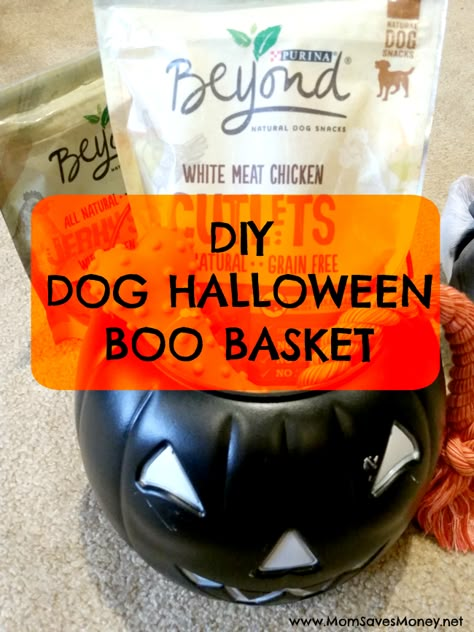 DIY Halloween Dog Boo Basket! – Mom Saves Money Dog Halloween Basket, Dog Boo Basket, Pet Gift Basket, Apartment Halloween, Boo Gift, Bus Ideas, Halloween Gift Baskets, Halloween Party Treats, Puppy Time