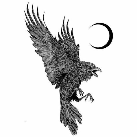 Crow Tattoo For Men, Black Crow Tattoos, Crow Tattoos, Crow Tattoo Design, Draw Tattoo, 16 Tattoo, Black Bird Tattoo, Crow Tattoo, Witch Tattoo