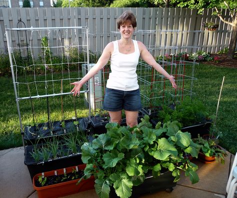 Earth Box Gardening, Earthbox Gardening, Beginners Garden, Garden Quotes, Garden Containers, Aromatic Herbs, Growing Tomatoes, Garden Boxes, Veggie Garden