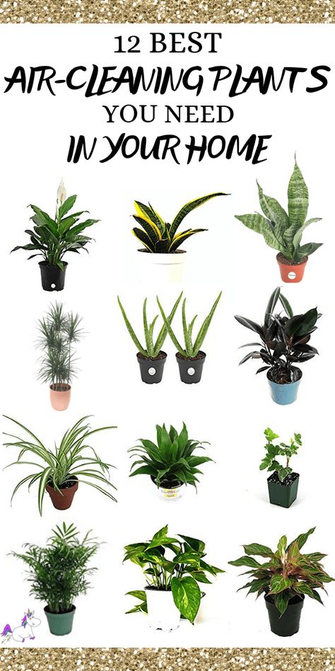 Air Cleaning House Plants, Air Cleaning Plants, Mosquito Repelling Plants, Artificial Plants And Trees, Plants For Hanging Baskets, Best Indoor Plants, Garden Types, Bathroom Plants, Air Purifying Plants