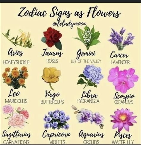 Sagittarius Flower, Feminine Arm Tattoos, Cute Thigh Tattoos, Aquarius And Sagittarius, Sagittarius Tattoo, Virgo And Scorpio, Leo And Virgo, Sagittarius And Capricorn, Virgo And Libra