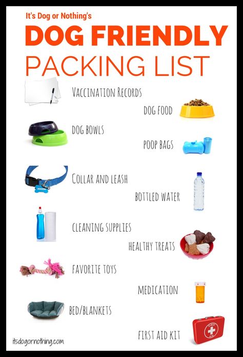 Dog Friendly Travel Packing List T3 Vw, Dog Essentials, Dog Camping, Hunting Dog, Dog Info, Dog Care Tips, Pet Hacks, Dog Travel, Service Dogs