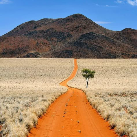 The desert of Namibia Namibia Travel, Deserts Of The World, Namib Desert, Afrikaanse Kunst, Dirt Road, Africa Travel, Amazing Nature, Camping Trips, Beautiful World