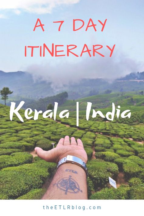 Ayurvedic Spa, God's Own Country, Kerala Travel, India Travel Guide, Tea Estate, Munnar, Travel Destinations Asia, Asia Destinations, Trip Itinerary