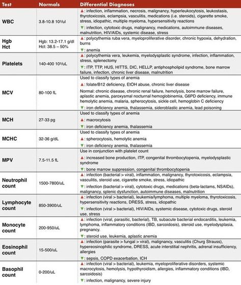 Medical Doctors Worldwide on Instagram: "The complete blood cell count (CBC) with differential measures the number of red blood cells, white blood cells, and platelets in the blood, including the different types of white blood cells (neutrophils, lymphocytes, monocytes, basophils, and eosinophils). The amount of hemoglobin (substance in the blood that carries oxygen) and the hematocrit (the amount of whole blood that is made up of red blood cells) are also measured. The CBC with differential is Cbc Interpretation, Medtech Notes, Cbc Test, Phlebotomy Study, Clinical Pathology, Nursing Labs, Types Of White, Blood Disorders, Clinical Chemistry