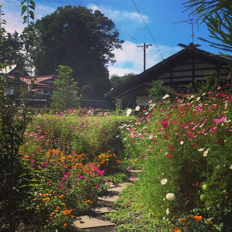 Messy garden?   Relax! You're probably channeling wabi-sabi, the art of imperfect gardening.   10 ways to get the look! Messy Garden Aesthetic, Danish Garden, Trailer Patio, Wabi Sabi Garden, Xeriscape Ideas, Messy Garden, Mr Plant, Creating A Garden, Garden Planning Layout